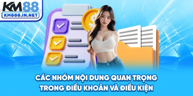Các nhóm nội dung quan trọng trong điều khoản và điều kiện