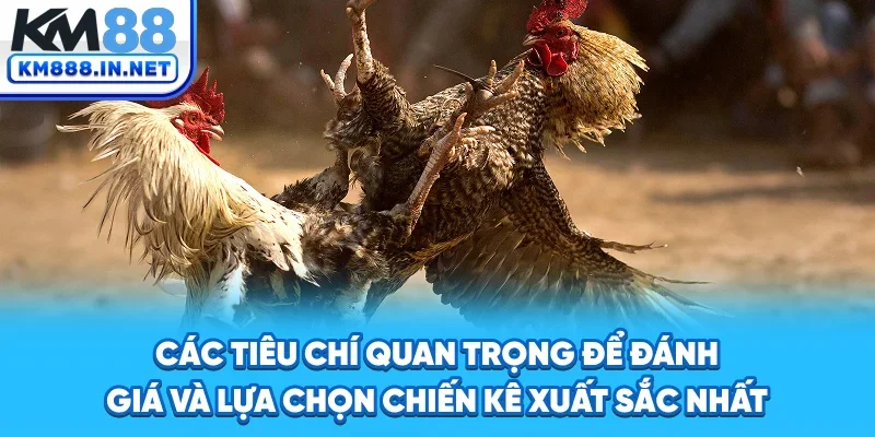 Các tiêu chí quan trọng để đánh giá và lựa chọn chiến kê xuất sắc nhất