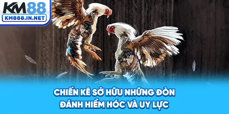 Chiến kê sở hữu những đòn đánh hiểm hóc và uy lực