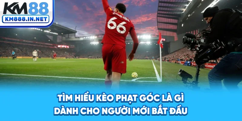 Tìm hiểu kèo phạt góc là gì dành cho người mới bắt đầu